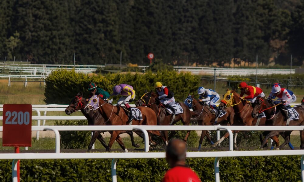 southwell tips