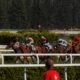 southwell tips