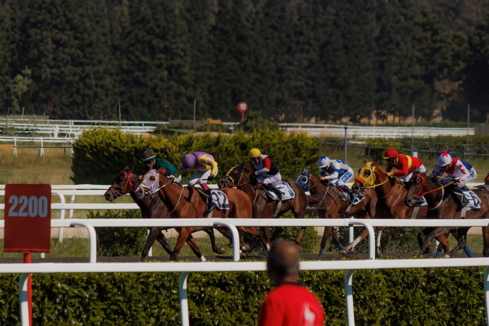 southwell tips