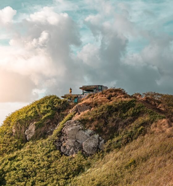 Maili Pillbox