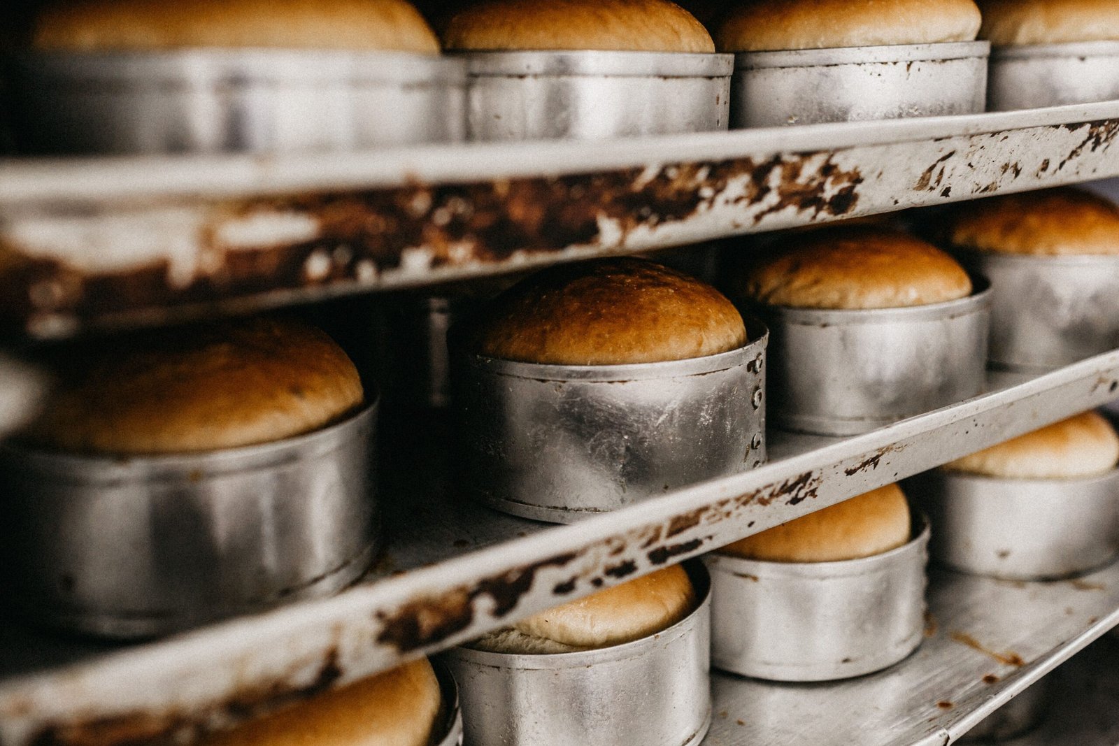 Bakery Bakeries