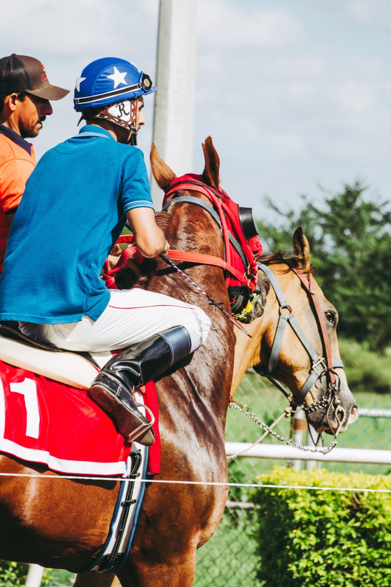 thirsk races