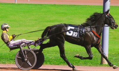 haydock results