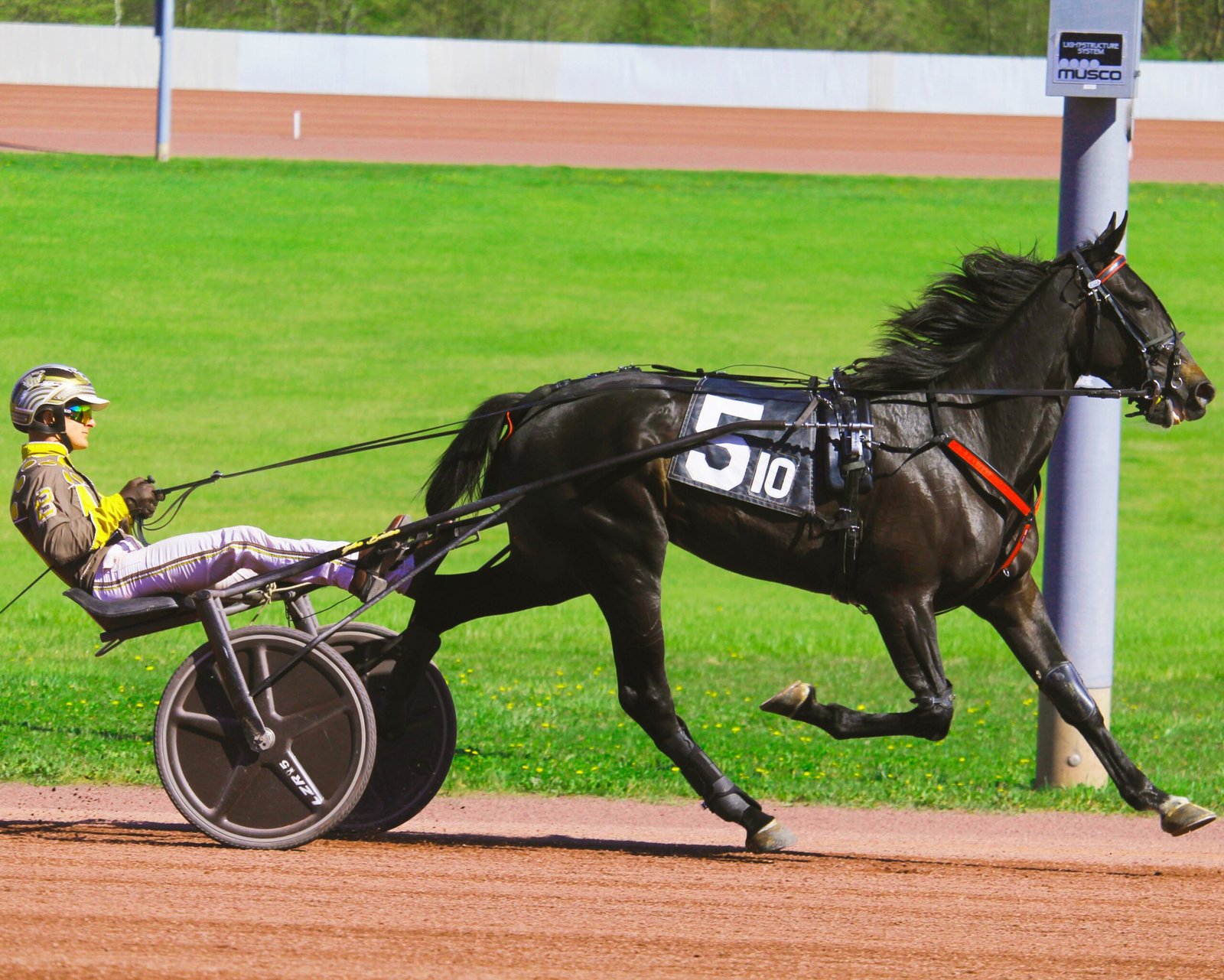 haydock results