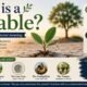 What Is a Parable? : Meaning, Definition, Purpose, and Famous Biblical Examples